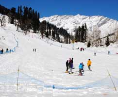 Tour Package In Himachal